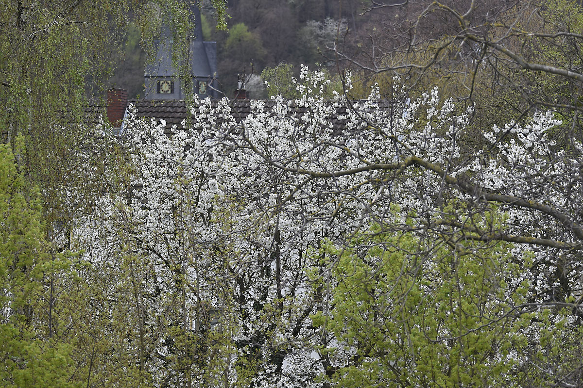 _DSC0182_DxOxlBKS.jpg