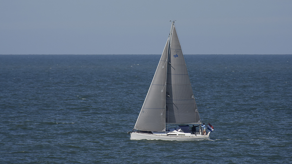 _DSC0371PAxl.jpg