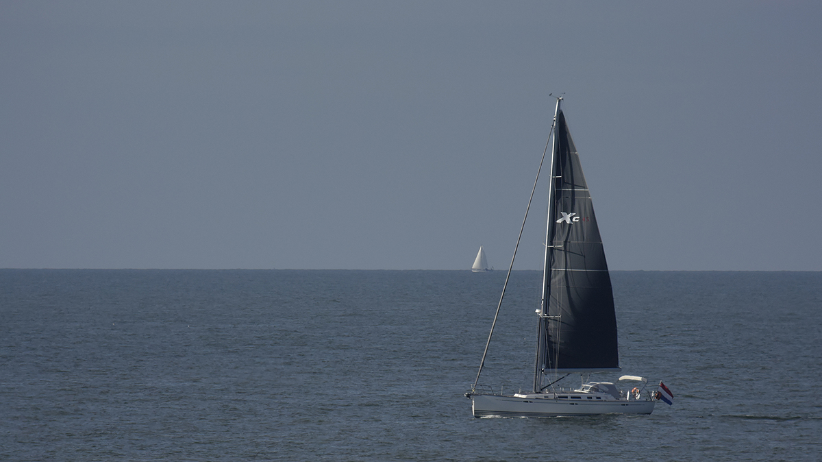 _DSC0407PAxl.jpg