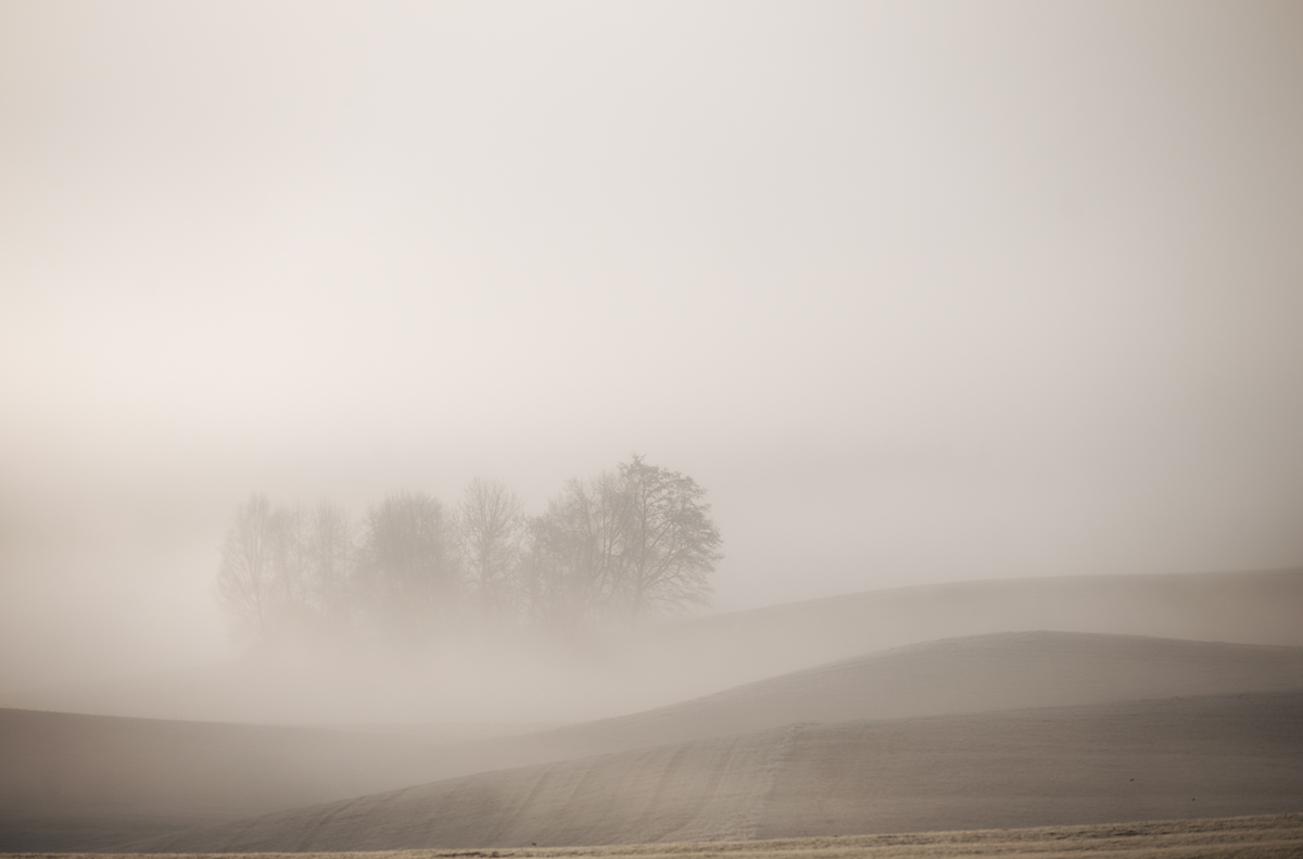 _DSC0446-Bearbeitet-1.jpg