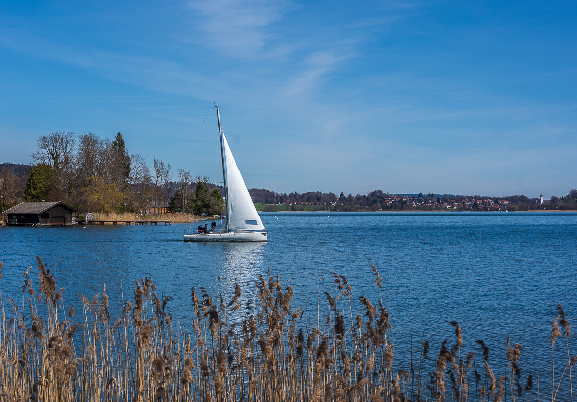 _DSC0458.jpg