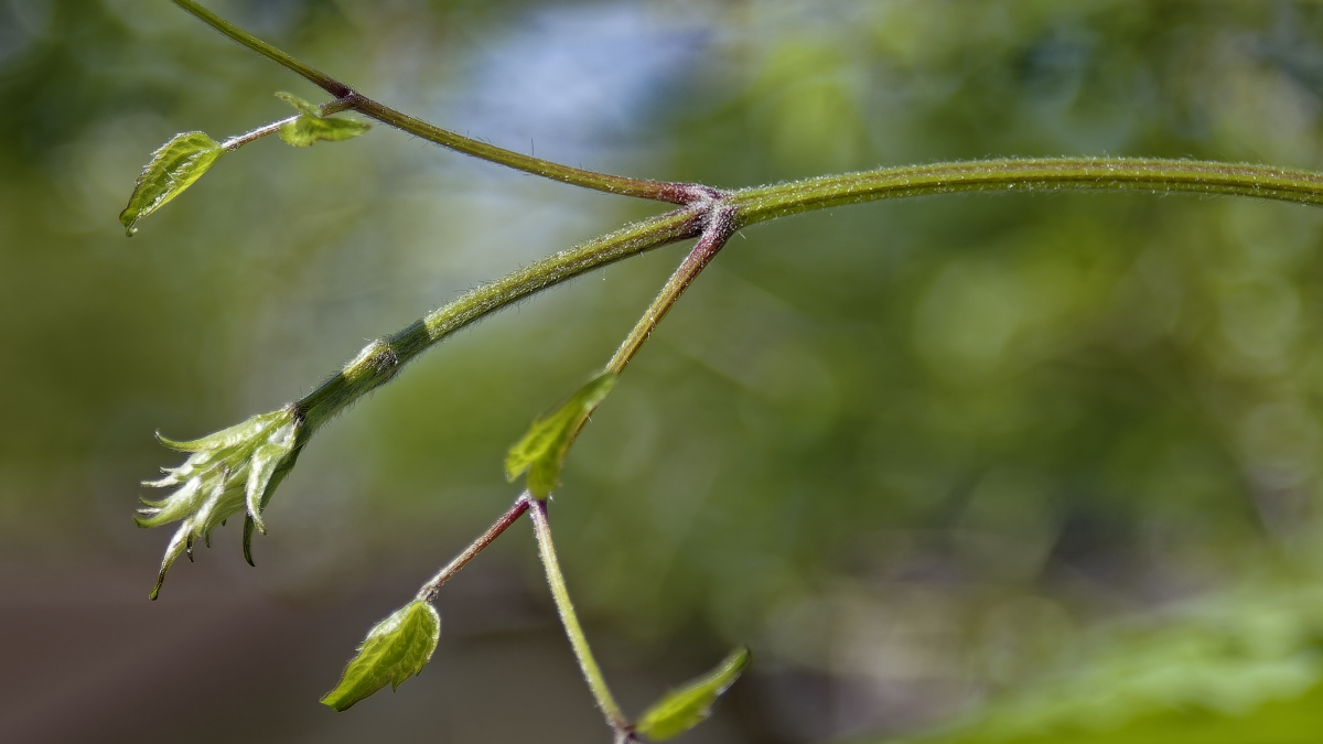 _DSC0580_DxOPAAxl.jpg