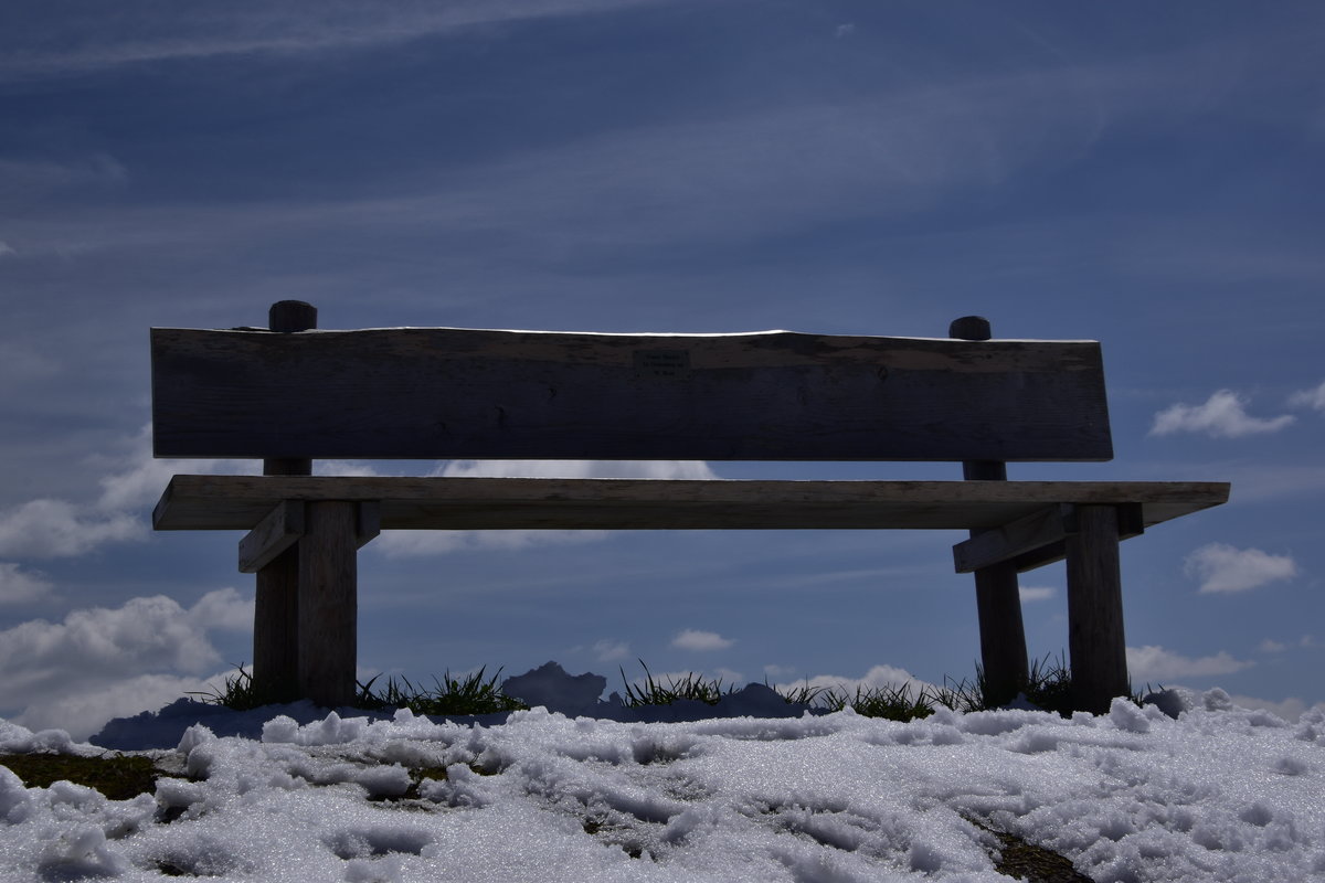 _DSC0606.jpg