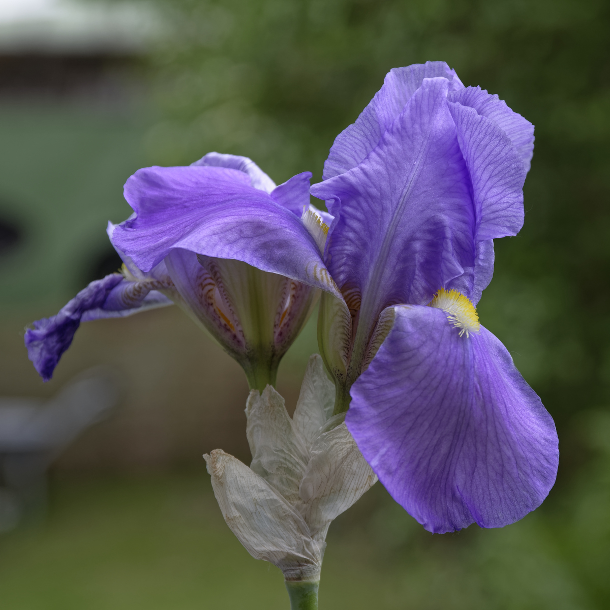_DSC0607_DxOQxl.jpg