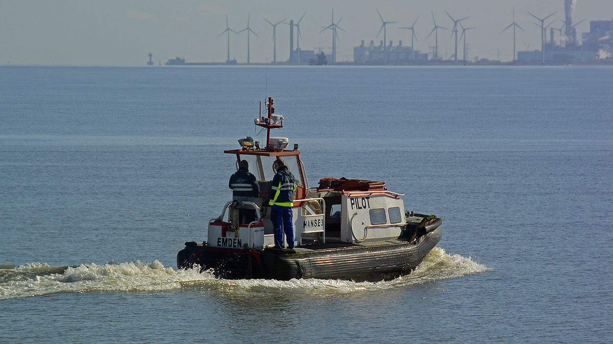 _DSC0705Pxl.jpg