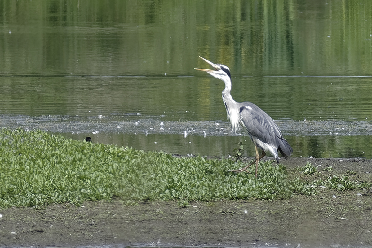 _DSC0713_DxOA2xl.jpg