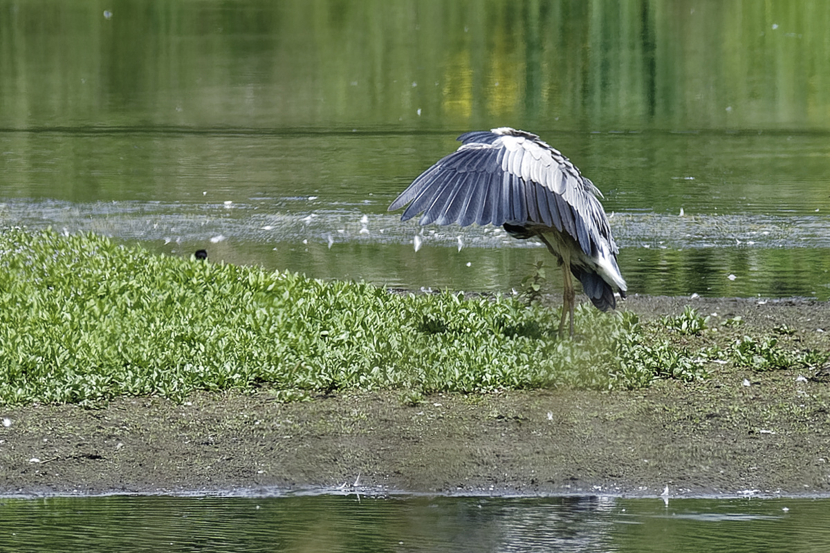_DSC0716_DxOA2xl.jpg