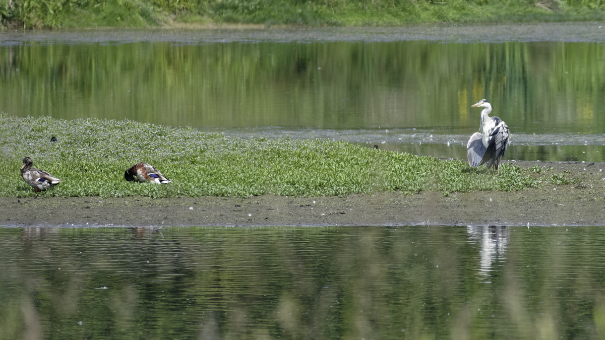 _DSC0721_DxOPAxl.jpg