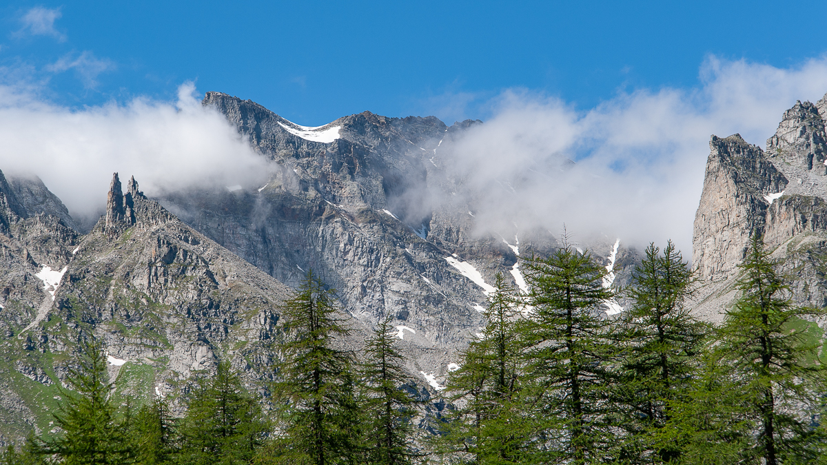 _DSC0851.jpg