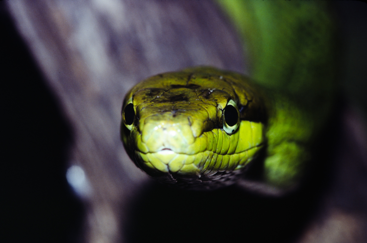 _DSC0868.jpg