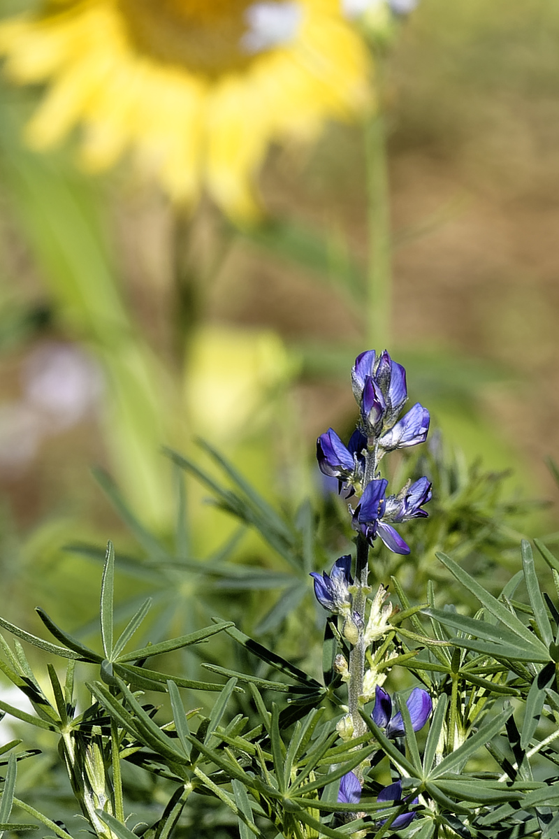 _DSC0887_DxOHAxl.jpg