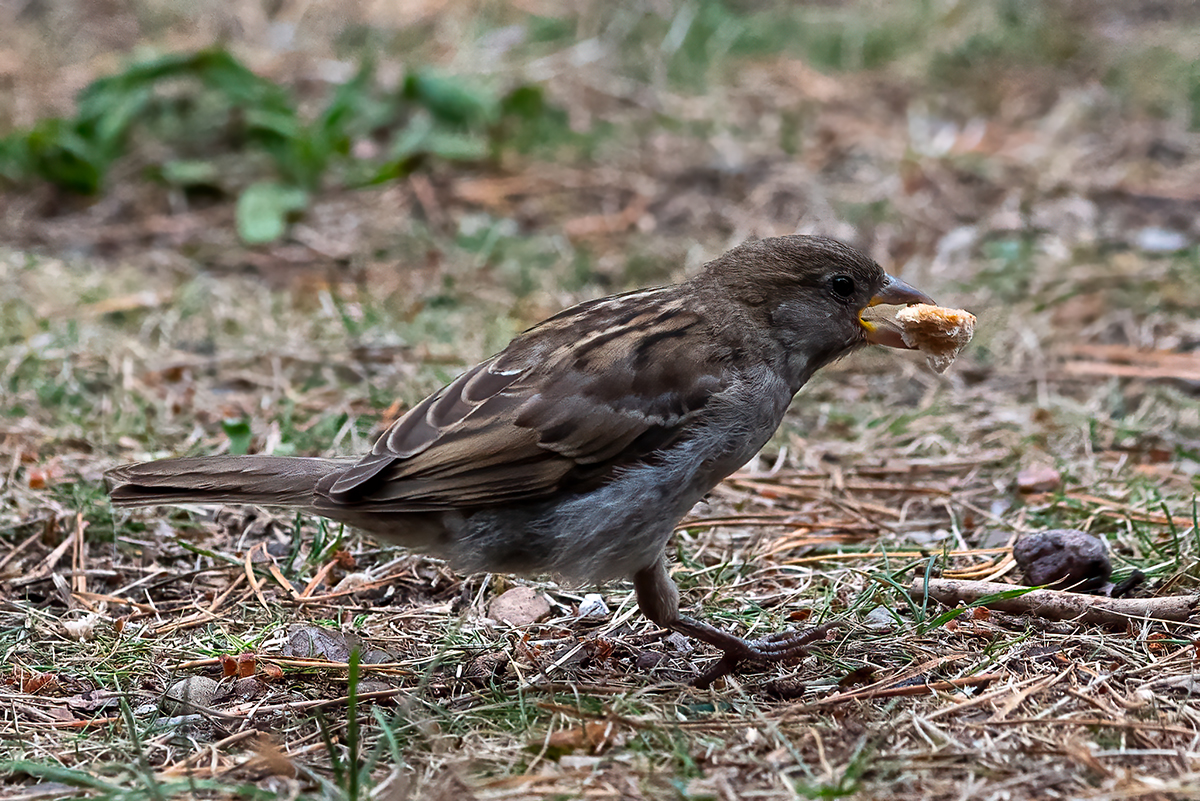 _DSC0893-Bearbeitet.jpg