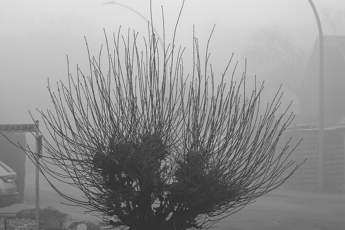 _DSC0917_DxOAxl.jpg