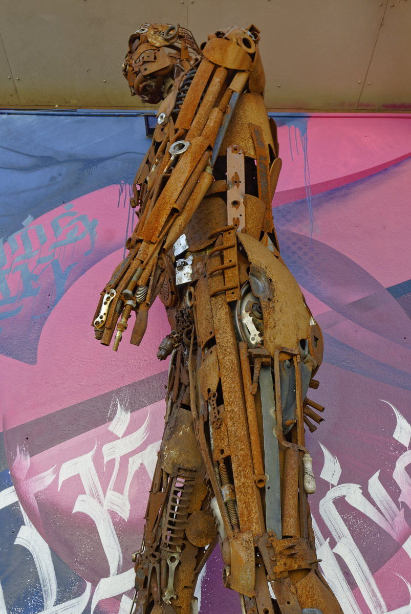 _DSC1347_DxOAxl.jpg