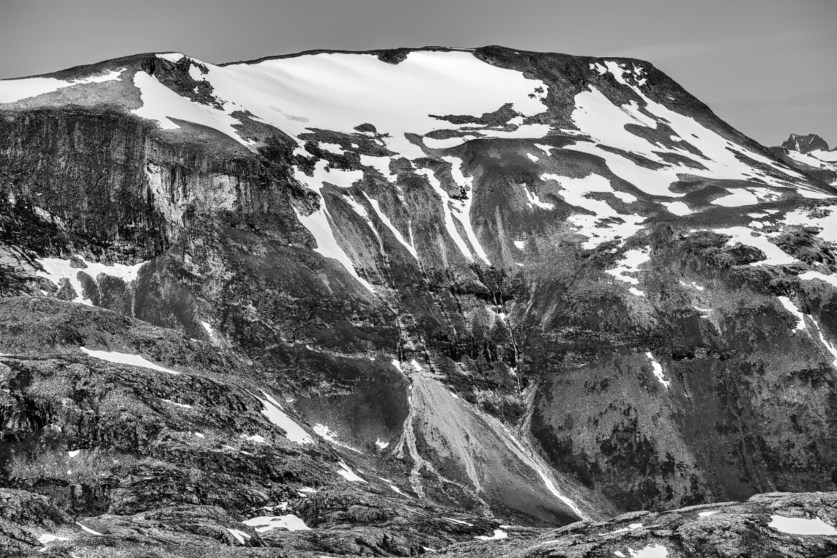 _DSC1866_7831_bearbeitet-1 BW.jpg