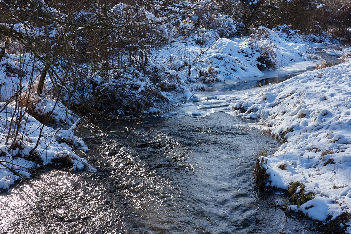 _DSC2199.jpg