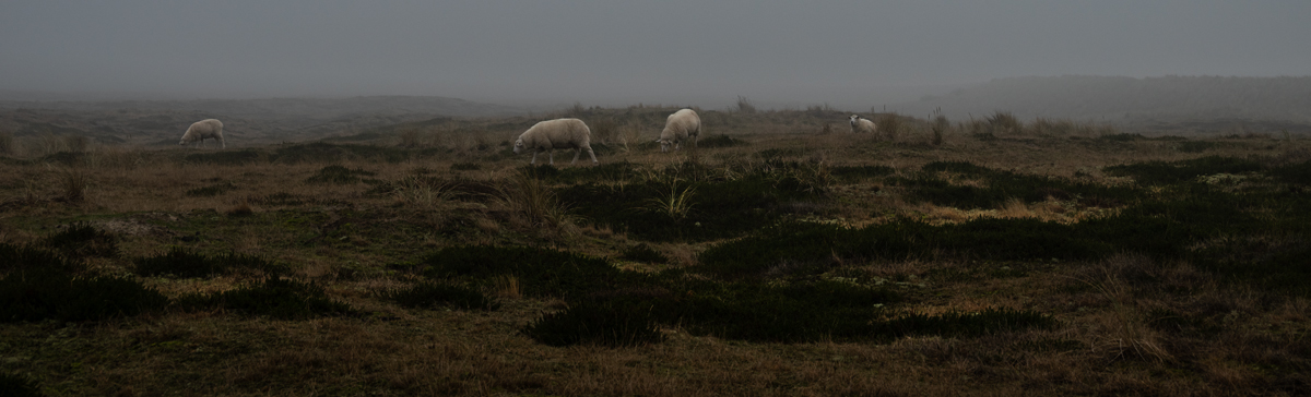 _DSC2246-Bearbeitet.jpg