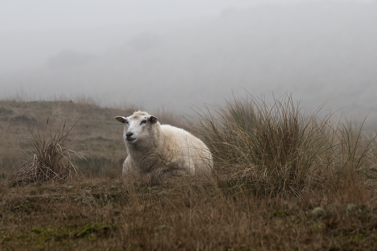 _DSC2251-Bearbeitet.jpg