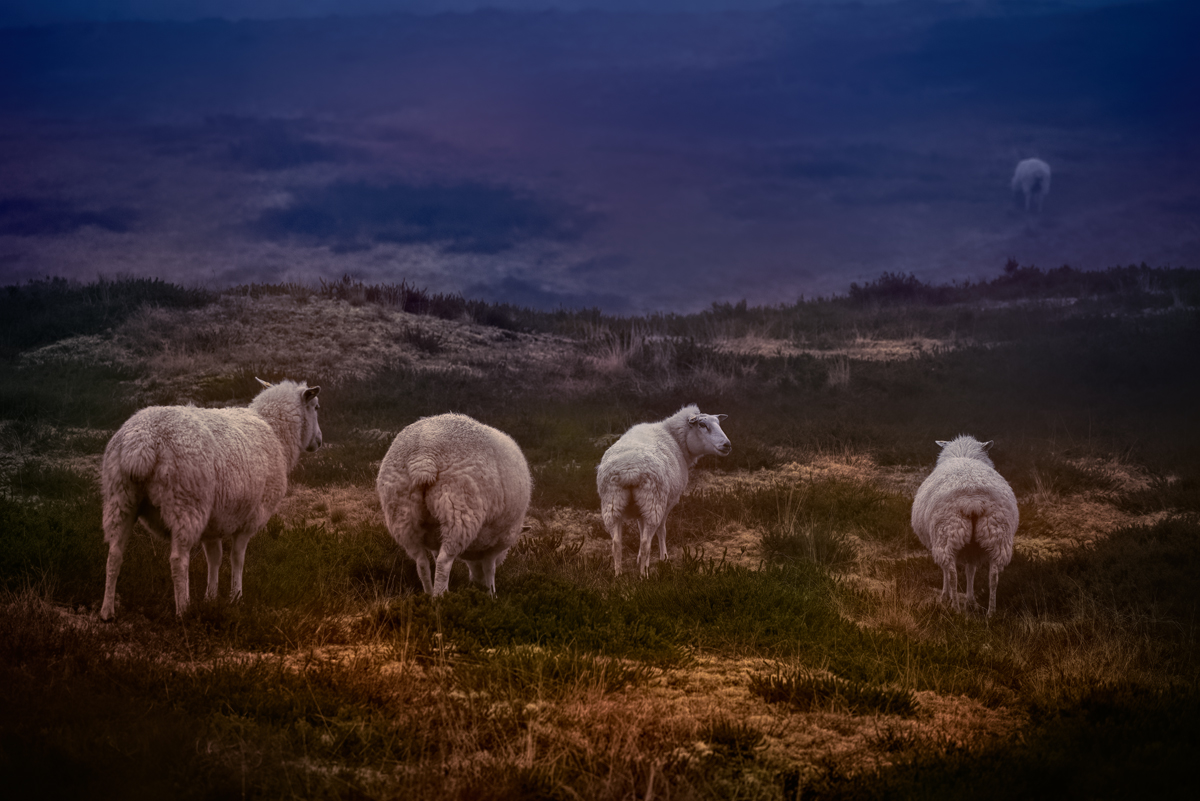 _DSC2293-2HDR.jpg