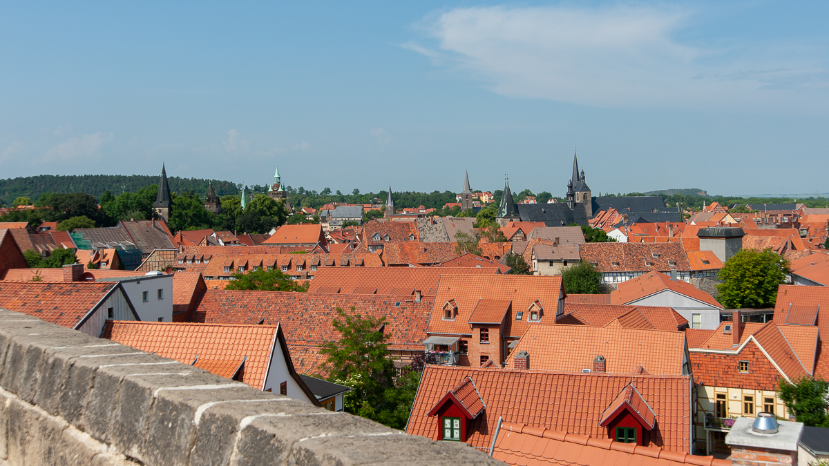_DSC2594.jpg