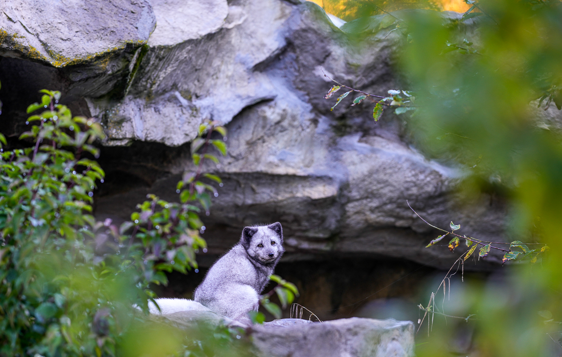 _DSC2605.jpg