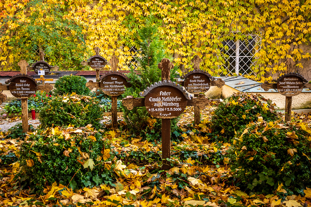 _DSC3048.jpg