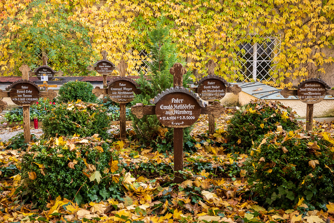 _DSC3048.jpg