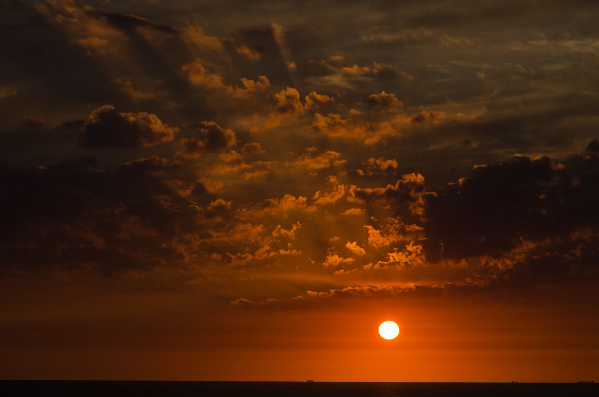 _DSC3265.jpg