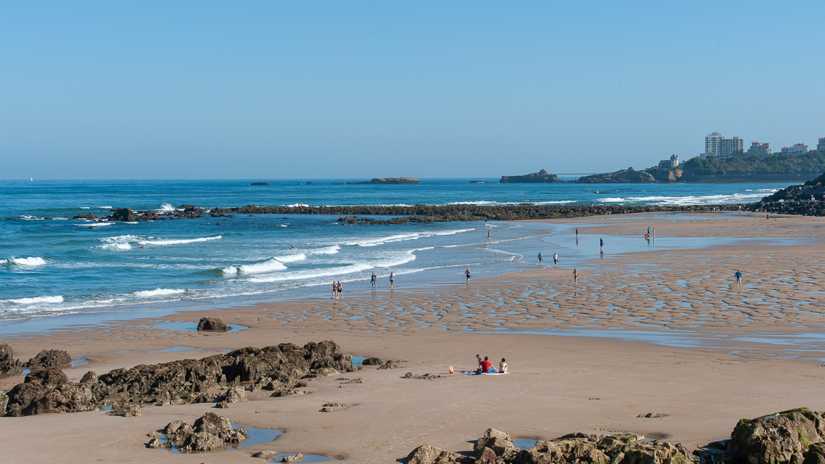 _DSC3658.jpg