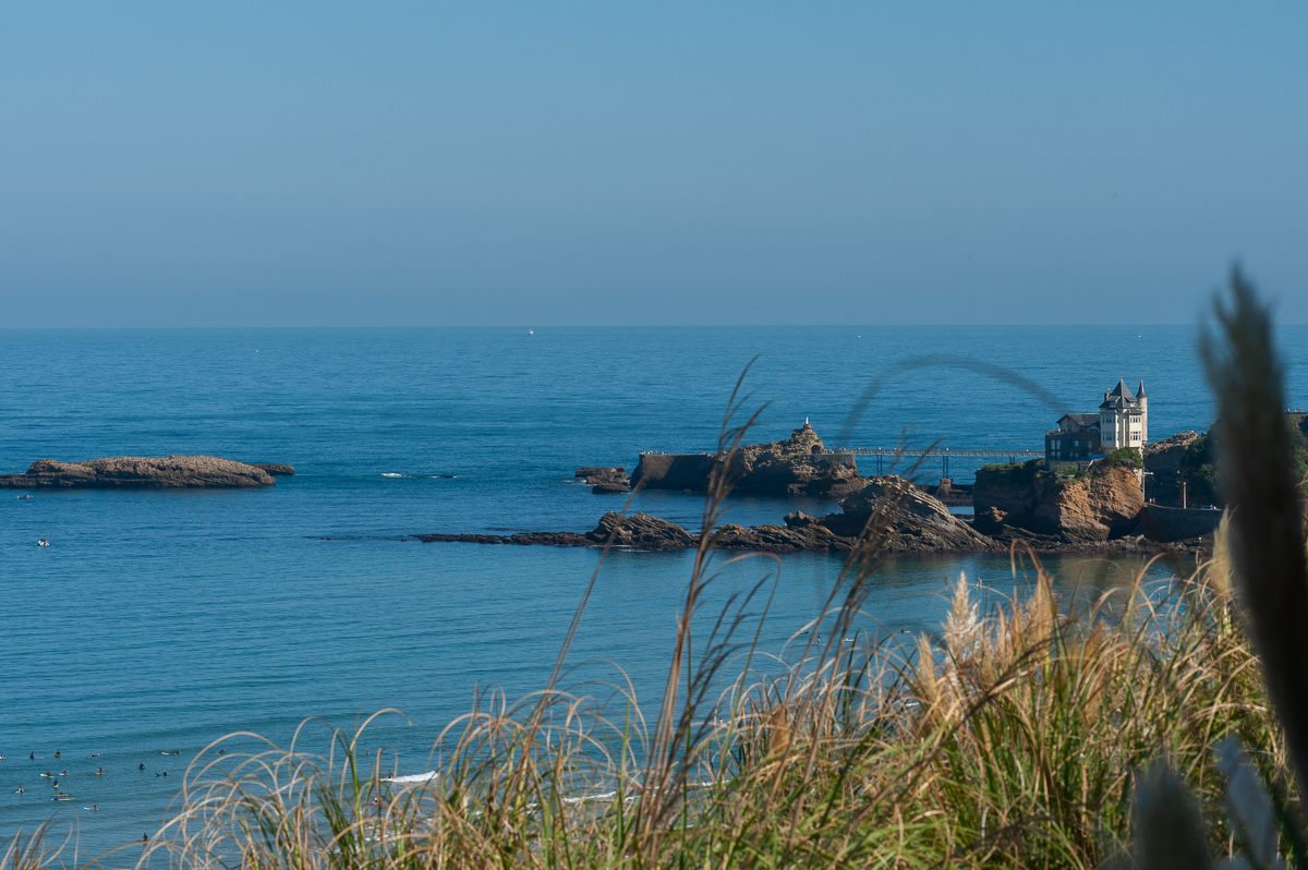 _DSC3660.jpg