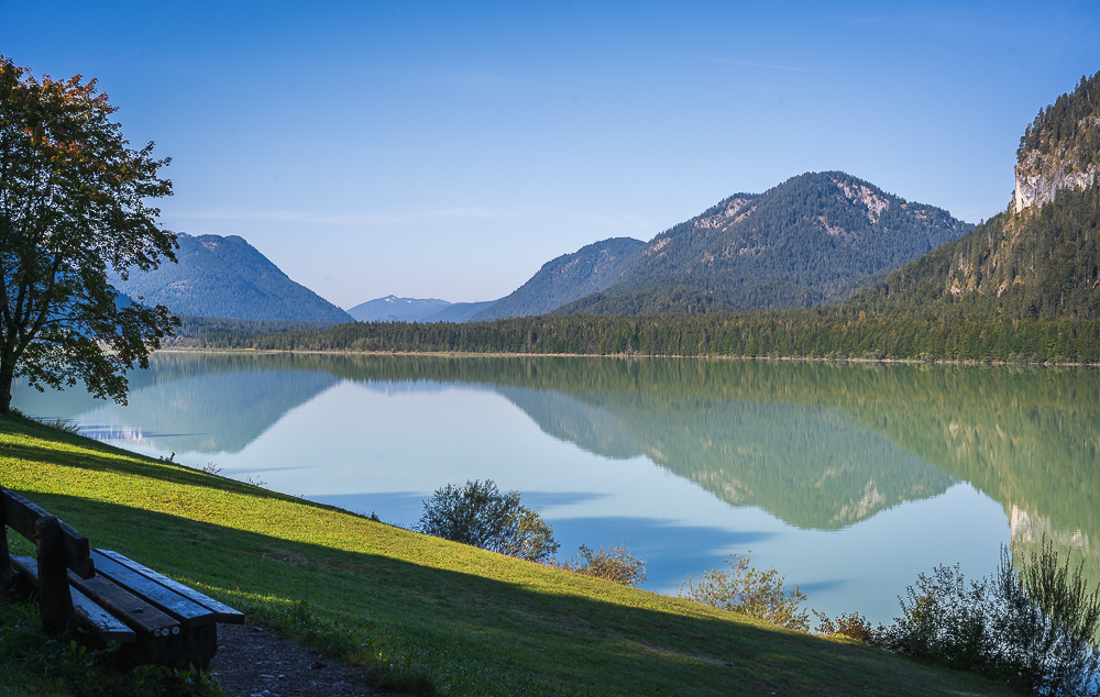_DSC3788.jpg