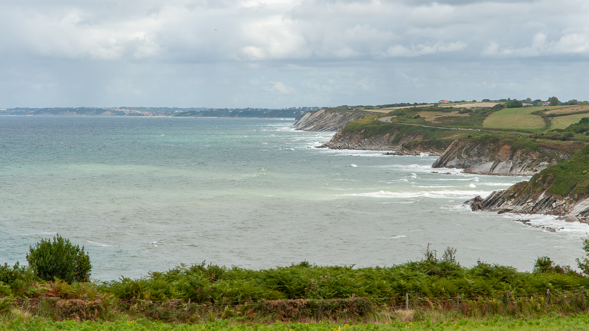 _DSC3929.jpg