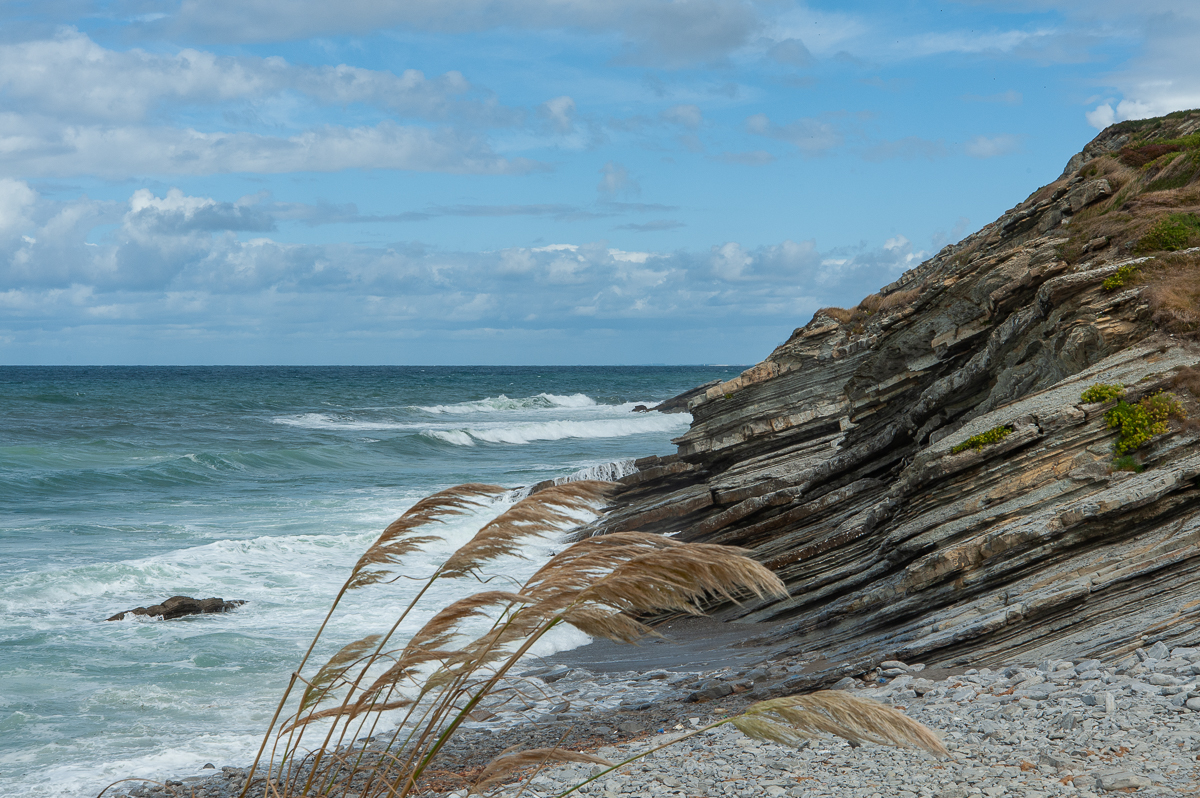 _DSC3950.jpg