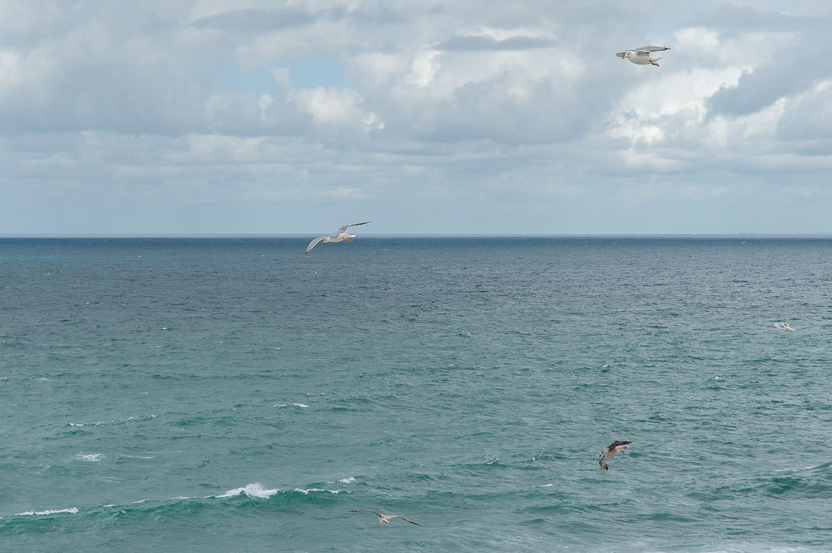 _DSC3969.jpg