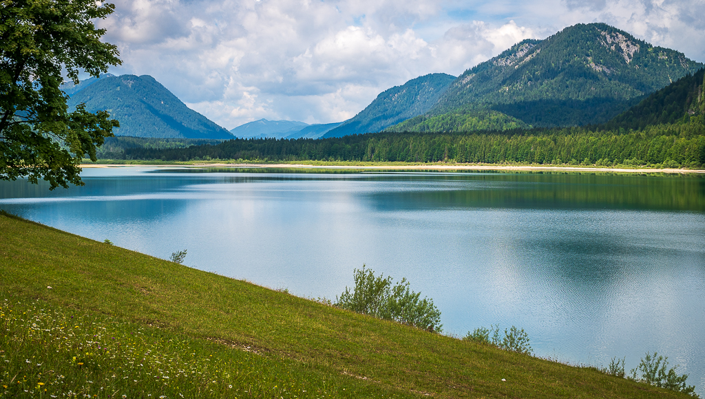 _DSC4203.jpg