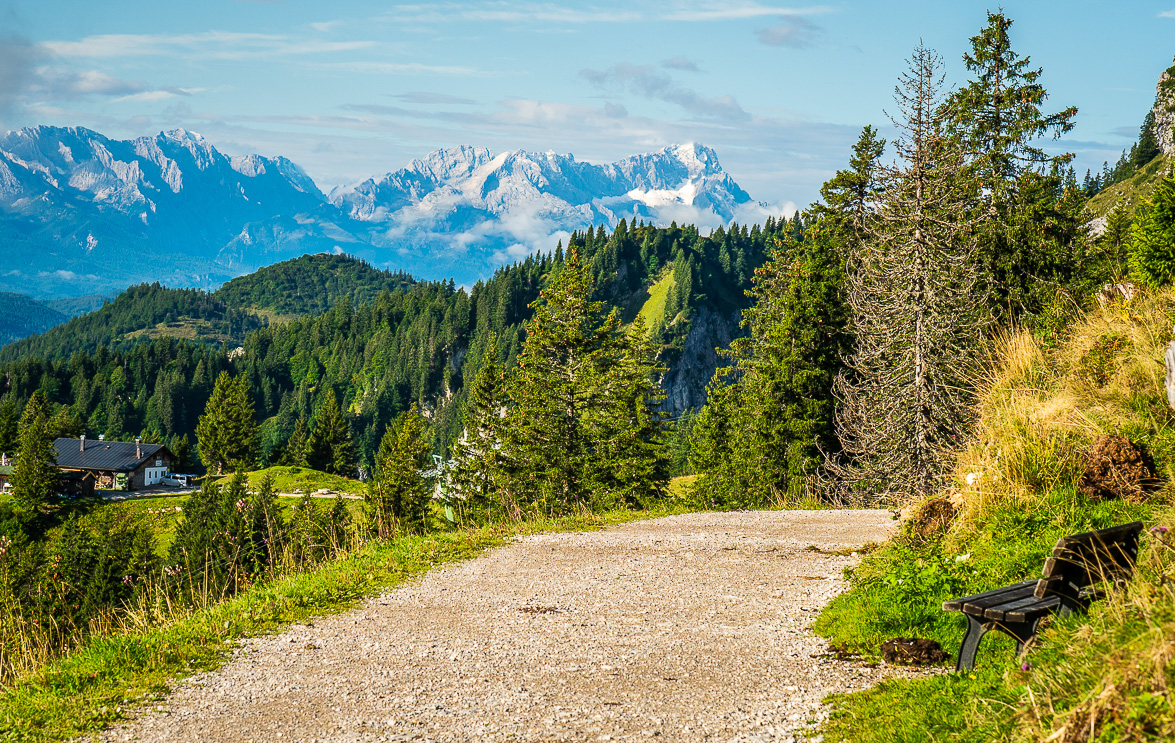 _DSC4281.jpg