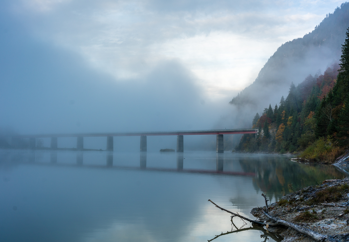 _DSC4695.jpg