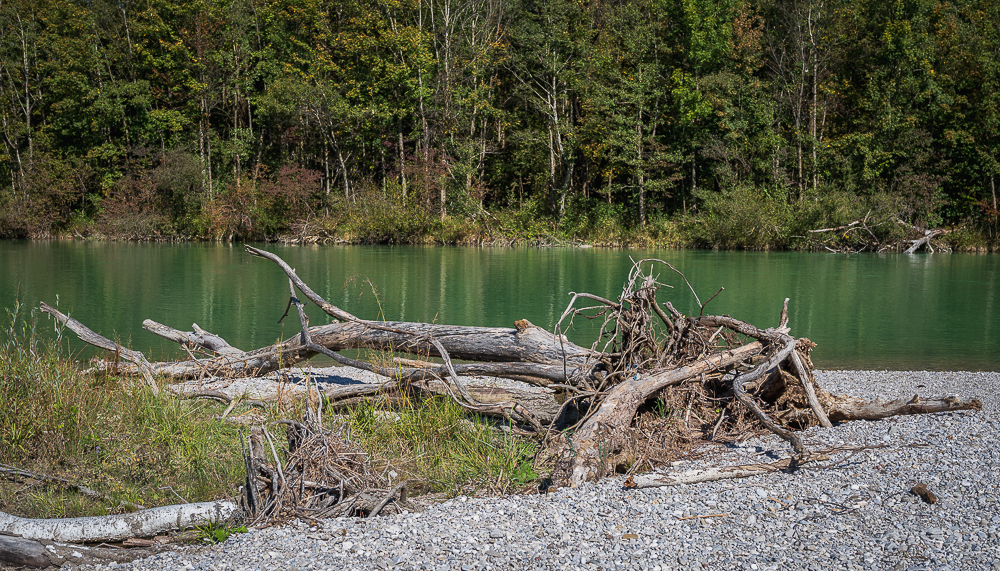 _DSC5004.jpg