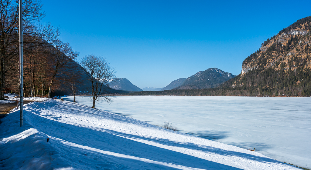 _DSC5450.jpg