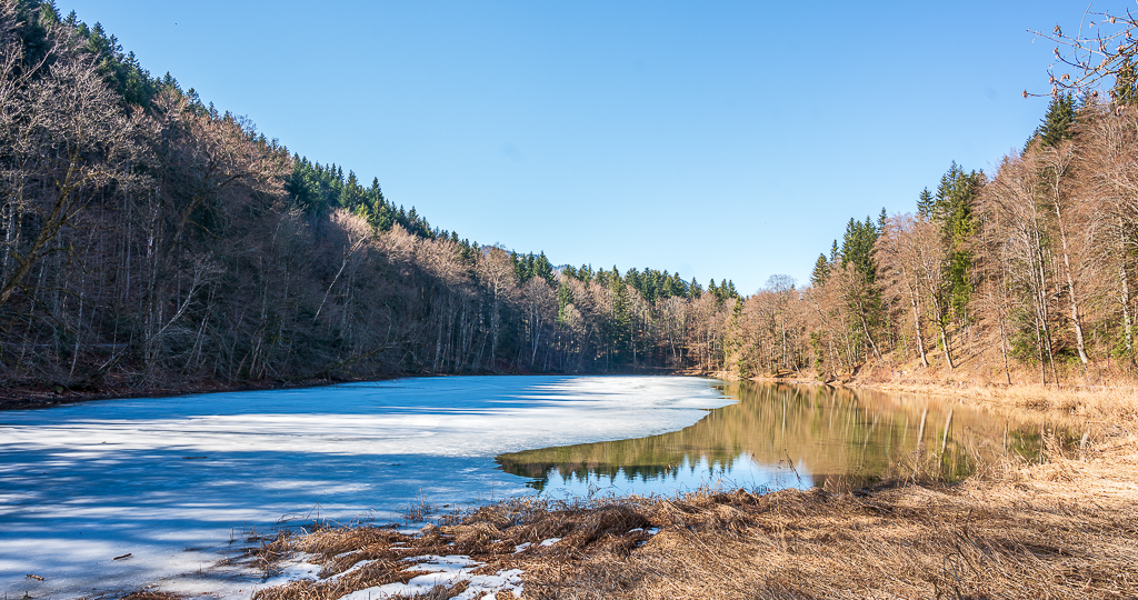 _DSC5485.jpg