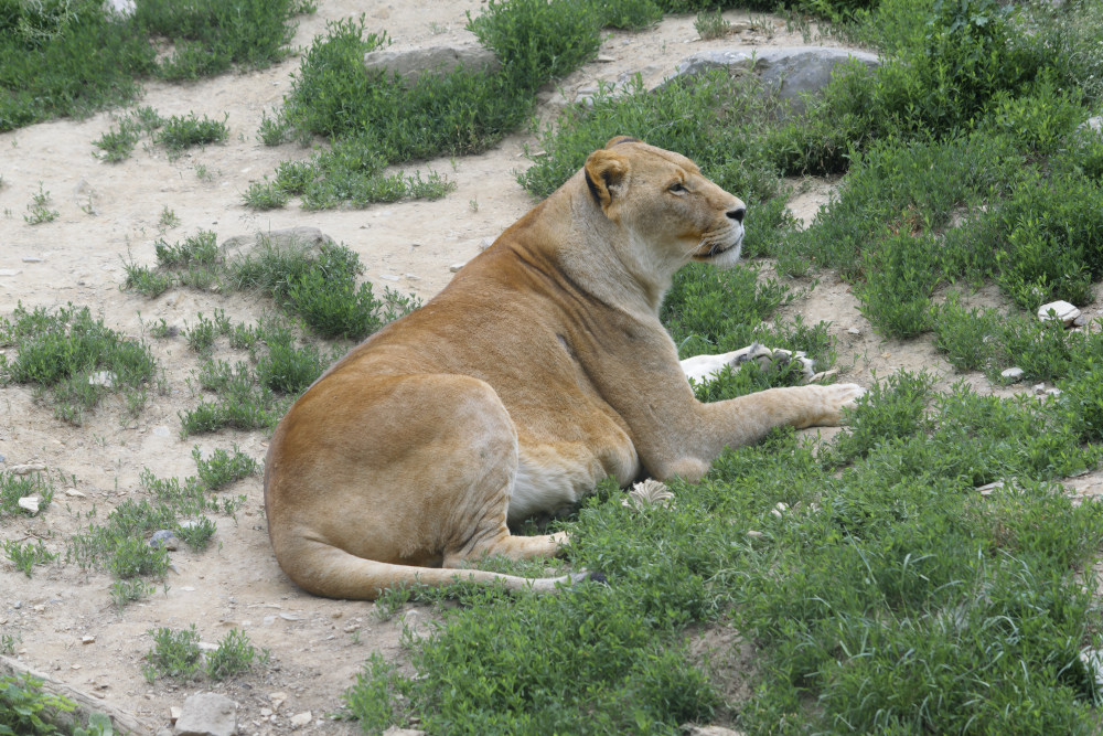_DSC5706NF.jpg