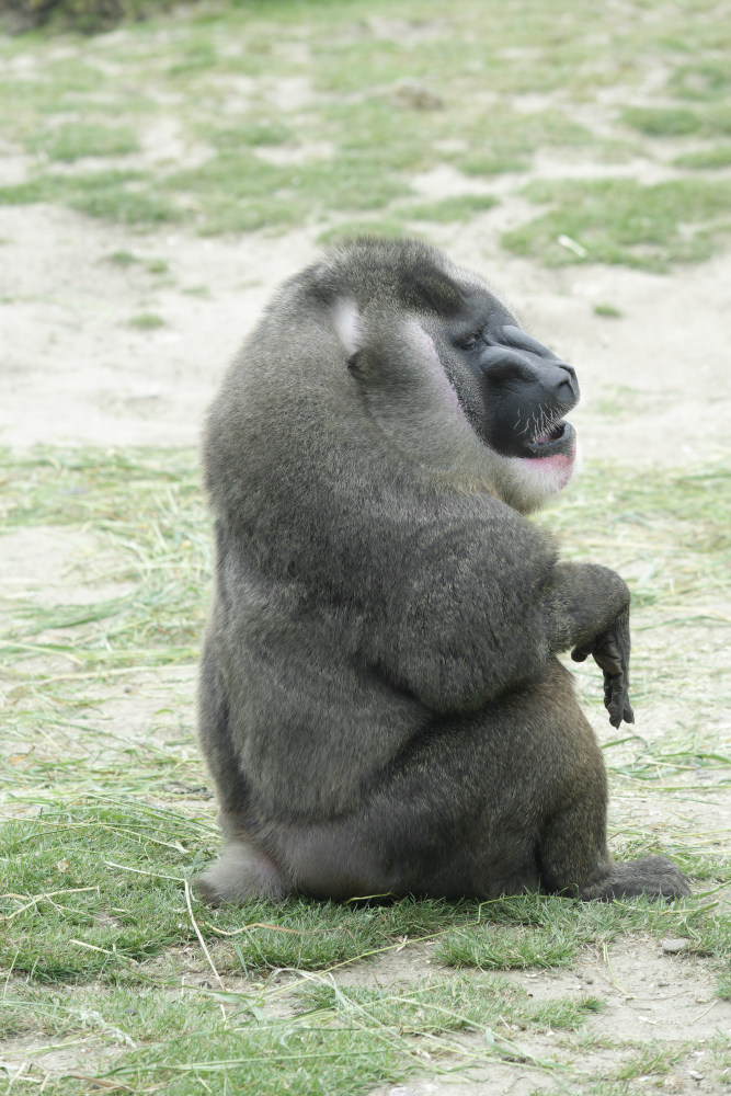_DSC5725NF.jpg