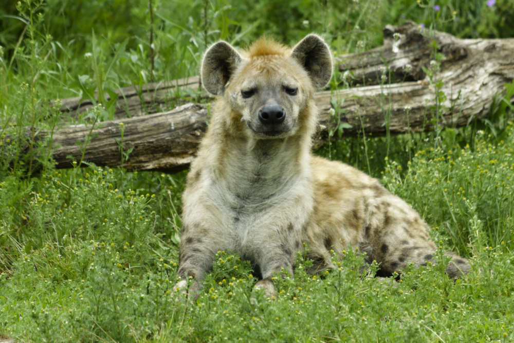 _DSC5748NF.jpg