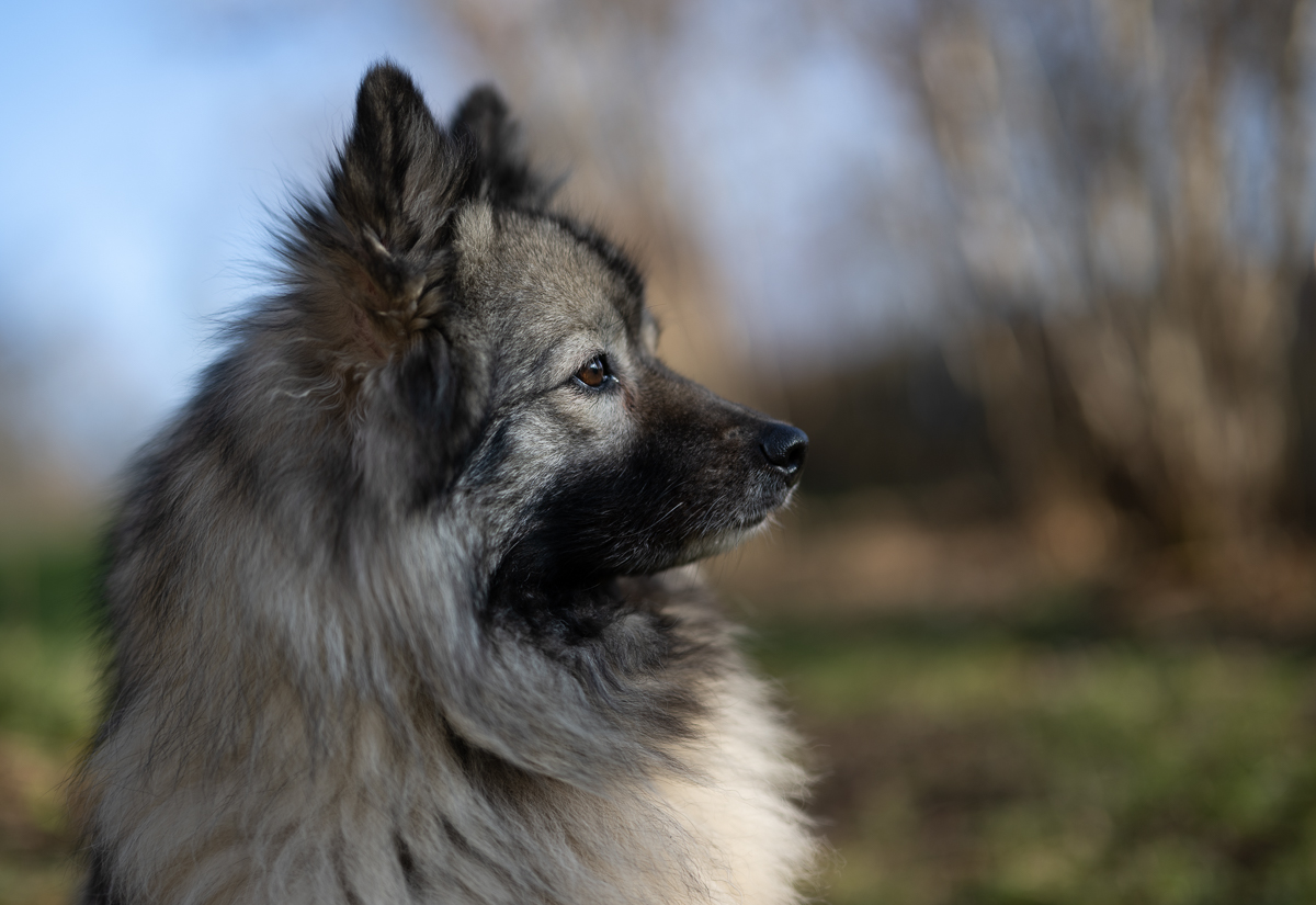 _DSC6082-Bearbeitet.jpg