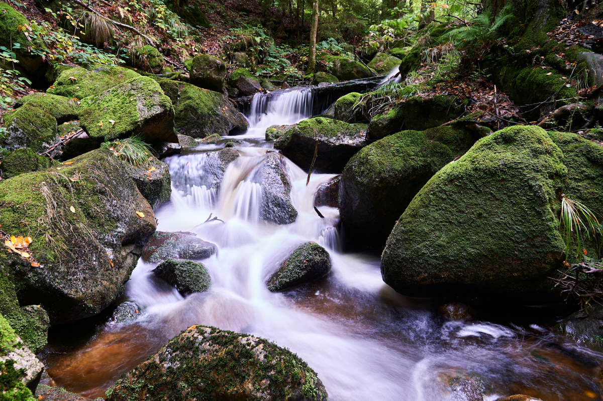 _DSC6397 1.jpg