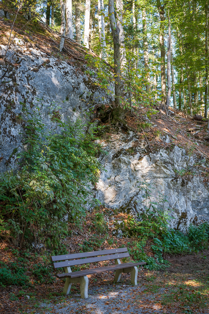_DSC6537.jpg