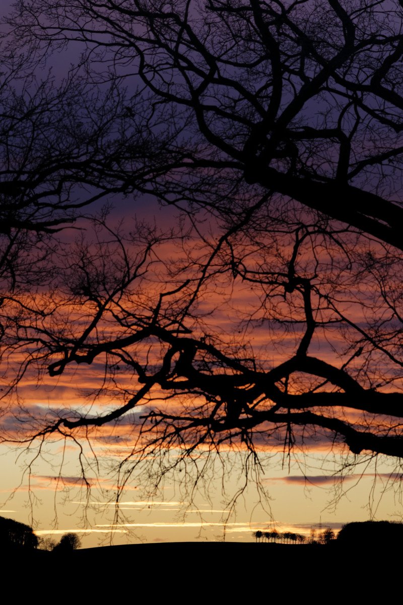 _DSC6945NF.jpg