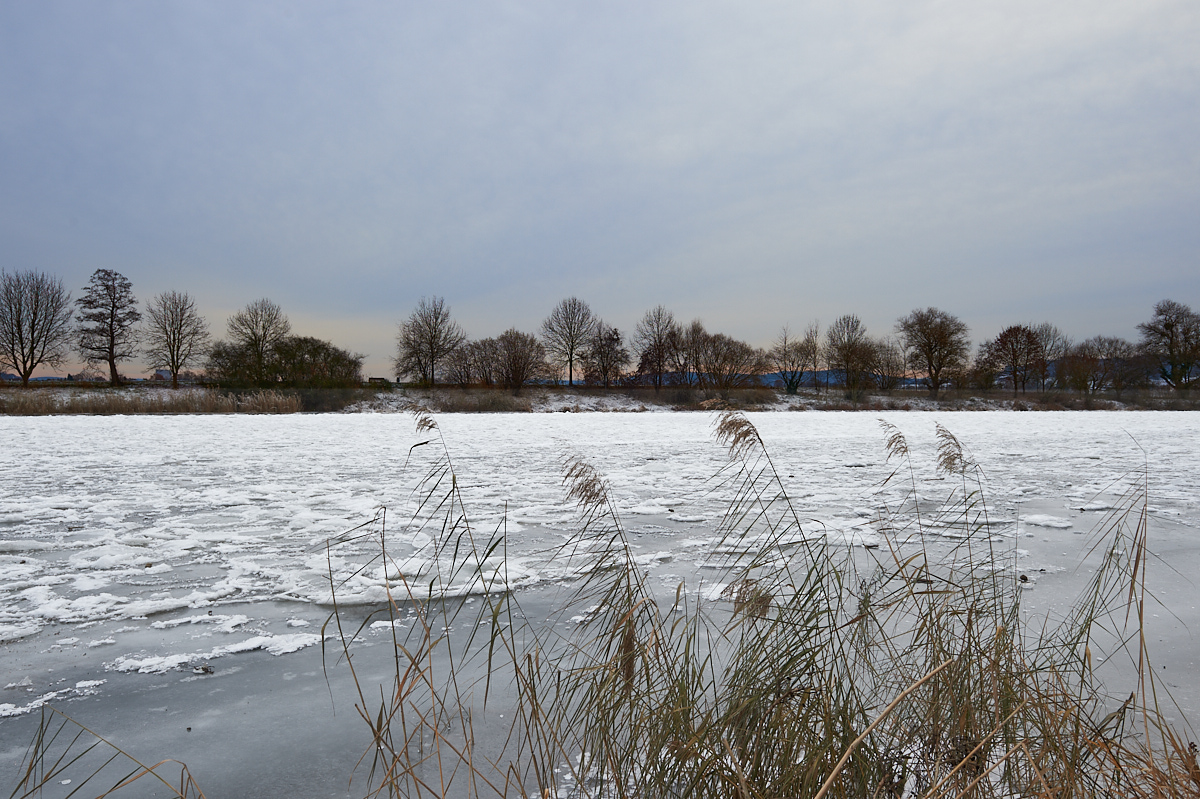 _DSC7188.jpg