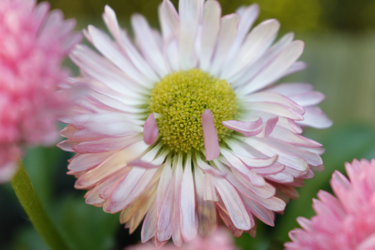 _DSC7380NF.jpg