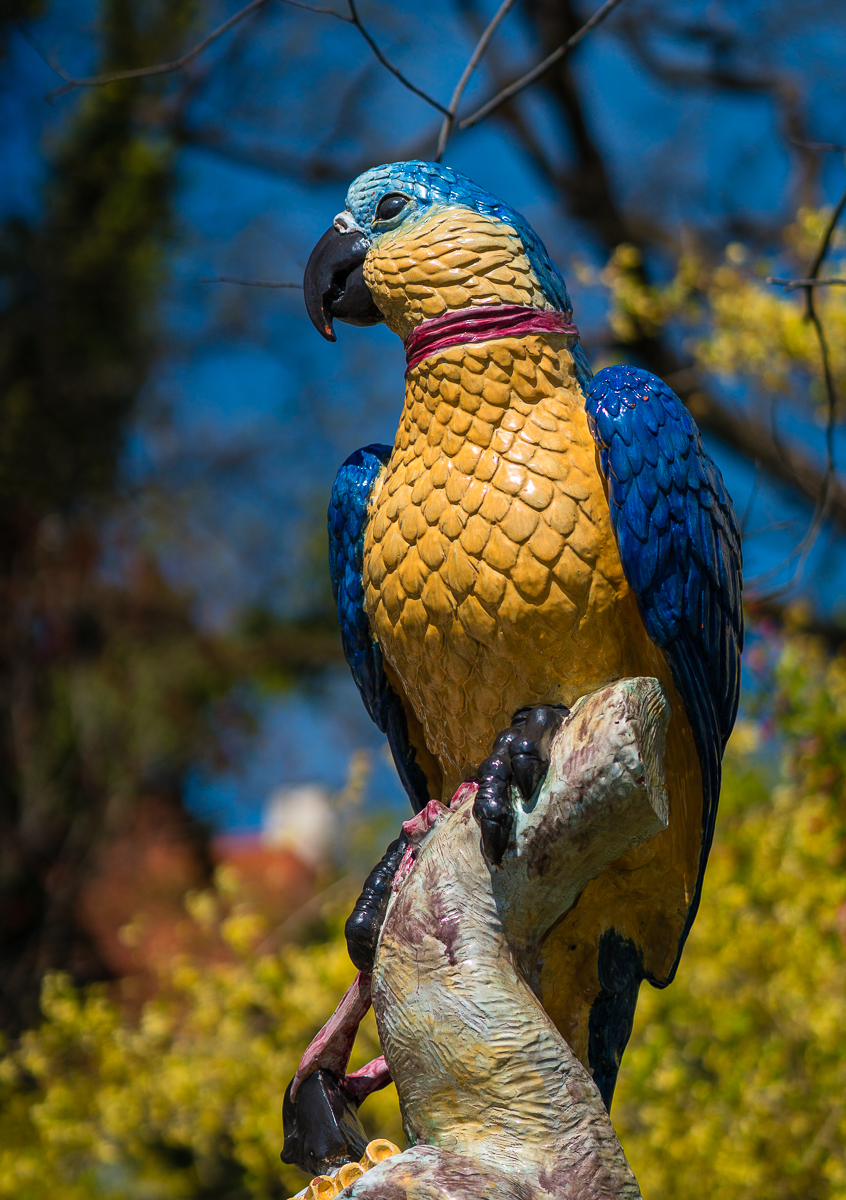 _DSC7534.jpg